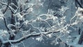 White Winter Branches under the sparkling fluffy snow 1690449563035 1 Royalty Free Stock Photo
