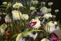 White winter flower dream with Chrysanthemum, Anturia, Fern, Thistle, beautiful Flower Arrangement Royalty Free Stock Photo