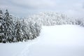 White winter landscape