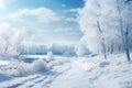 White winter scene. Trees covered with snow. Beautiful landscape Royalty Free Stock Photo