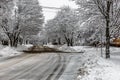 White winter, snow day in New Brunswick, Canada.