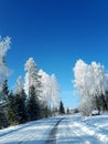 White Winter wonderland countryside peace Royalty Free Stock Photo