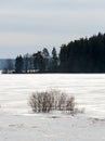A white wintry lake view in early spring