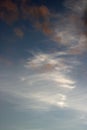 White wispy cirrus clouds pink tinged clouds below Royalty Free Stock Photo