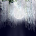 White wisteria flowerson moonlight night