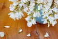 White Wisteria Spring Blossom Flowers