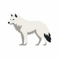 White Wolf: A Bold And Minimalist Icon On A White Background
