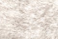 White wolf fake fur, faux fur made of synthetic fibers, close-up Royalty Free Stock Photo