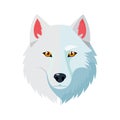 White Wolf Head Vector Illustration â Arctic Predator Portrait in Minimal Flat Style Royalty Free Stock Photo