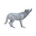 White wolf howling. 3D illustration isolated on white background Royalty Free Stock Photo