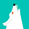 White wolf howls head isolated. Vector illustration