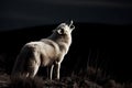 A white wolf howls at the moon in the night. Royalty Free Stock Photo