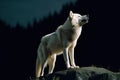 A white wolf howls at the moon in the night. Royalty Free Stock Photo