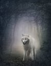 White wolf