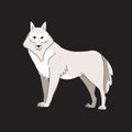 White wolf standing. Wild animal character. Vector Illustration isolated on black background