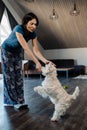 White woman feeding and playing with her dog at home Royalty Free Stock Photo