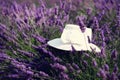 White woman`s hat on violet lavender bushes. Summer landscape near Valensole in Provence, France. Lilac lavender field Royalty Free Stock Photo