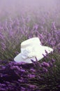 White woman`s hat on violet lavender bushes. Summer landscape near Valensole in Provence, France. Lilac lavender field Royalty Free Stock Photo