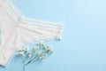 White women\'s underwear and flowers on light blue background, flat lay. Space for text Royalty Free Stock Photo