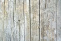 White wood texture with cracks and puppies loose and a small crack