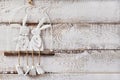 white wooden background with easter decoration and copy space for own text Royalty Free Stock Photo