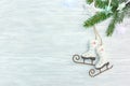 White wooden background with green fir tree branch, decorative s