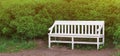 White wooden bench in a city park in spring time and trees on background. Empty green garden chair at summer grass Royalty Free Stock Photo