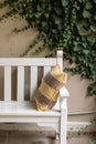 White wooden bench, english ivy on wall, yellow pillow. Outside garden nook. Royalty Free Stock Photo