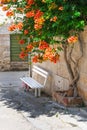 A white bench under a floral tree