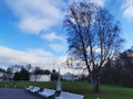 White wooden benches, behind them a beautiful lantern, an oil meadow, a birch without leaves and the Elaginoostrovsky Palace Royalty Free Stock Photo