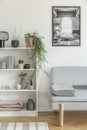 White wooden bookshelf with grey plant, books and vases next to grey sofa with blanket