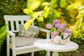 White wooden chair table with a bouquet of lilacs in the spring garden. Royalty Free Stock Photo