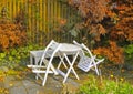 White wooden chairs and table in a serene, peaceful, lush, private backyard at home in autumn. Patio furniture set in Royalty Free Stock Photo