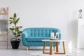 White wooden coffee table next to blue elegant couch in bright living room interior with plant in black pot and scandinavian