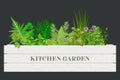 White wooden crate of farm fresh cooking herbs with labels in wooden box. Greenery basil, rosemary, chives, thyme, oregano with te Royalty Free Stock Photo