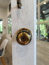 old gold stainless door knob or handle on wooden door Royalty Free Stock Photo