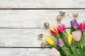 White wooden Easter background with tulips and eggs Royalty Free Stock Photo
