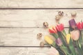 White wooden Easter background with tulips and eggs, Toned Royalty Free Stock Photo