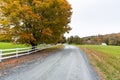 Empty gravel road in a rural landscape in autumn Royalty Free Stock Photo