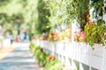 White wooden fence with flowered pots along the sidewalk. Summer. Outdoor. Blurred