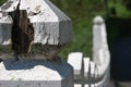 White wooden fence Royalty Free Stock Photo