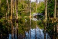 Charleston South Carolina Magnolia Plantation Landscape Royalty Free Stock Photo