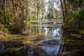 Charleston South Carolina Scenic Panoramic Landscape Royalty Free Stock Photo