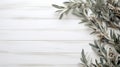 Elegant Olive Branches On White Wooden Wall - Muted Color Palette