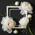 White wooden frame decorated with peonies flowers, botanical floral composition on black background Royalty Free Stock Photo