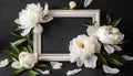 White wooden frame decorated with peonies flowers, botanical floral composition on black background Royalty Free Stock Photo