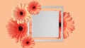 White wooden frame card with pink gerbera daisy flowers Royalty Free Stock Photo