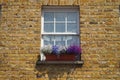 White wooden frame sash window with colorful flowers on a brick wall building facade Royalty Free Stock Photo