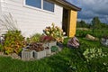 White wooden garden shed or hut with flowers and plants Royalty Free Stock Photo