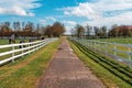 White wooden horse paddock fence on equestrian farm. Group of animals grazing on fresh spring grass Royalty Free Stock Photo